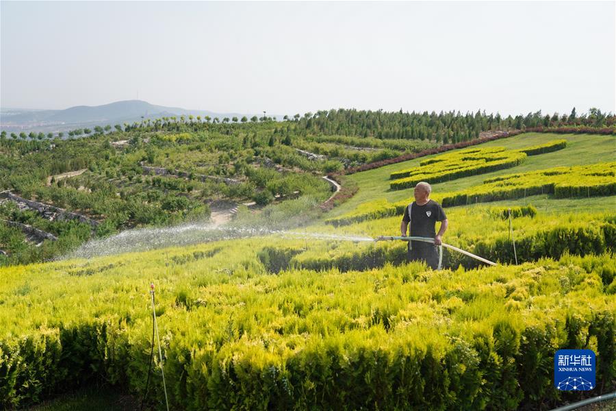 （新華全媒頭條·聚焦生物多樣性大會(huì)·圖文互動(dòng)）（3）攜手同行，開啟人類高質(zhì)量發(fā)展新征程——習(xí)近平主席在《生物多樣性公約》第十五次締約方大會(huì)領(lǐng)導(dǎo)人峰會(huì)上的主旨講話解讀
